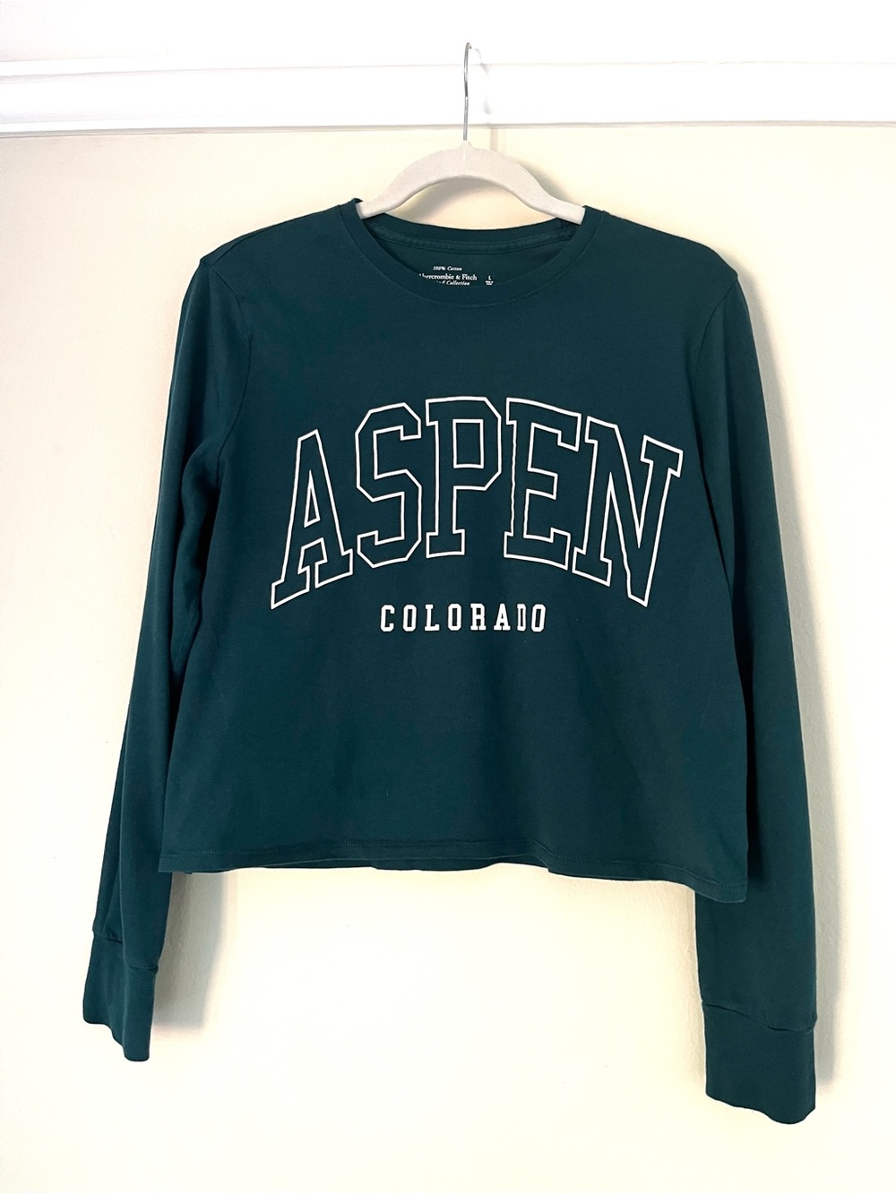 Soft A&F Collection Aspen Graphic Long Sleeve Shirt